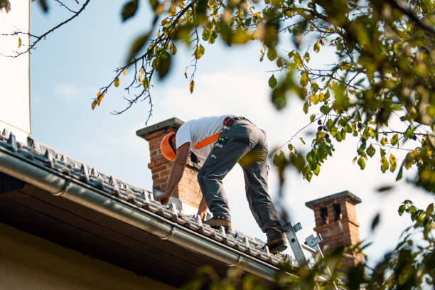 Best Roof Replacement Cost  in Everman, TX